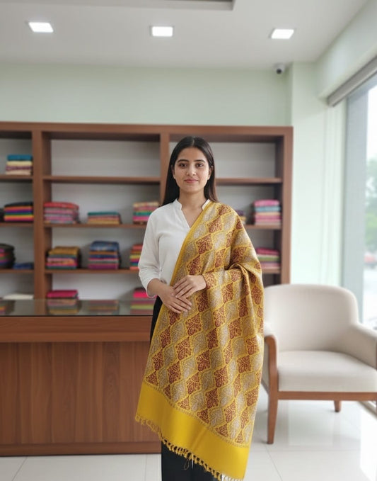 Fancy Embroidered Stole for Women | Luxury Surface Work Wrap